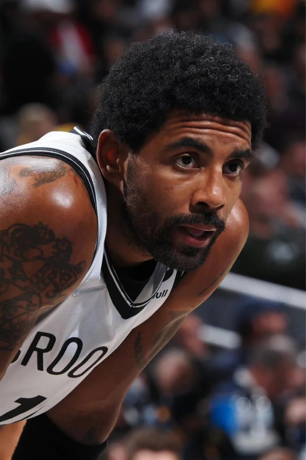 在15分左 在15分左